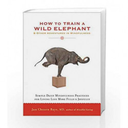 How to Train a Wild Elephant by Jan Chozen Bays Book-9781569570432