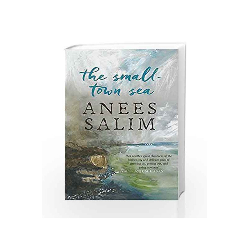 The Small-Town Sea by ANEES SALIM Book-9780670088638