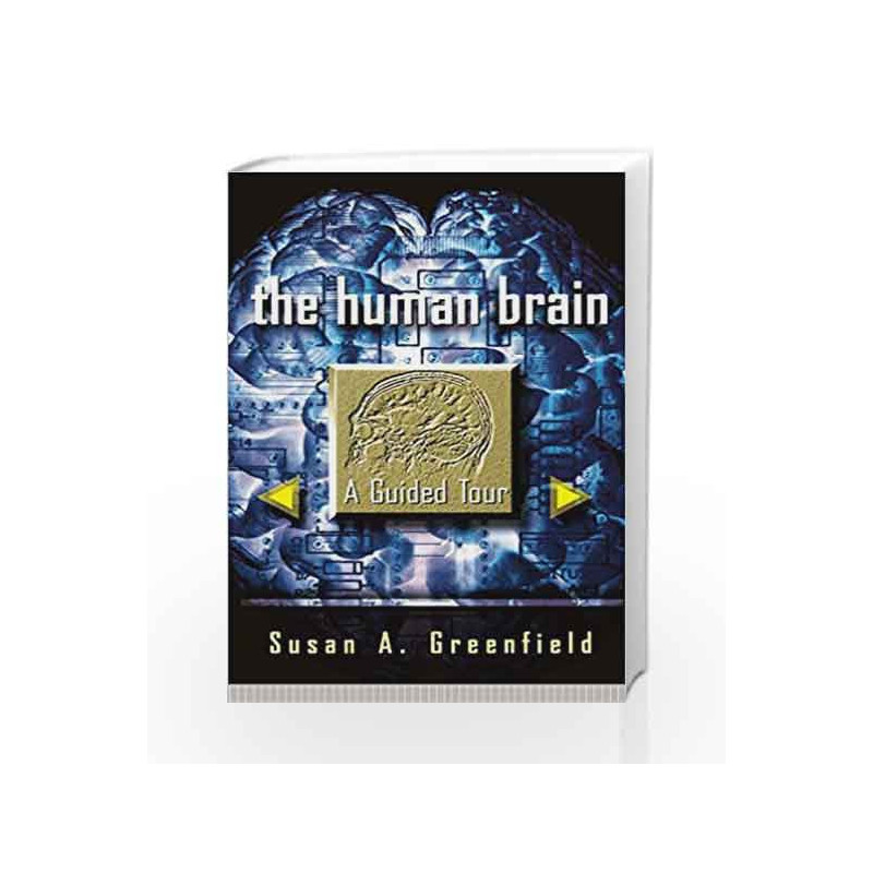 The Human Brain (Science Masters Series) by Susan A. Greenfield Book-9780465007264