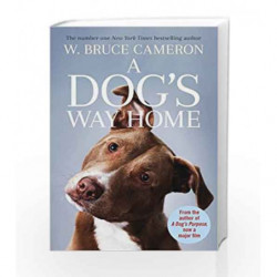 A Dog's Way Home: The Heartwarming Story of the Special Bond Between Man and Dog by W. Bruce Cameron Book-9781509855940