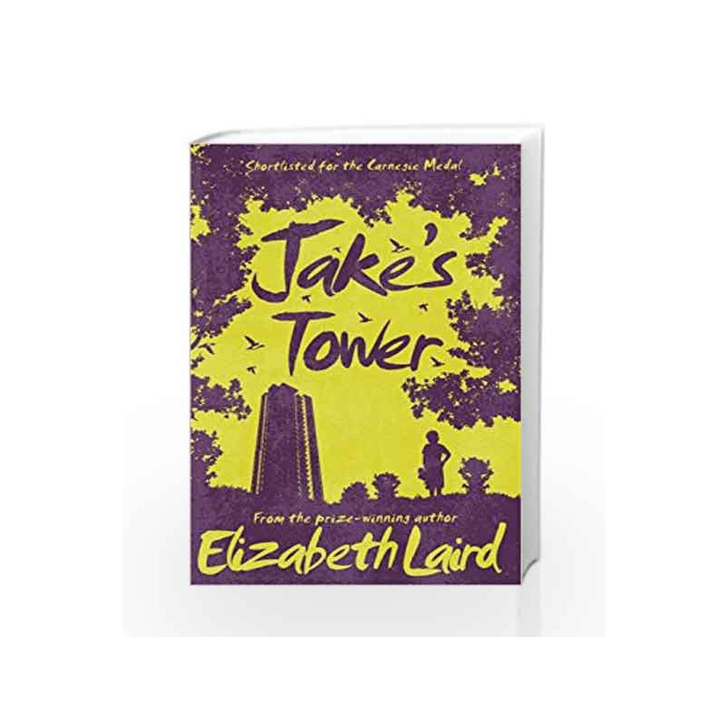 Jake's Tower by Elizabeth Laird Book-9781509826711