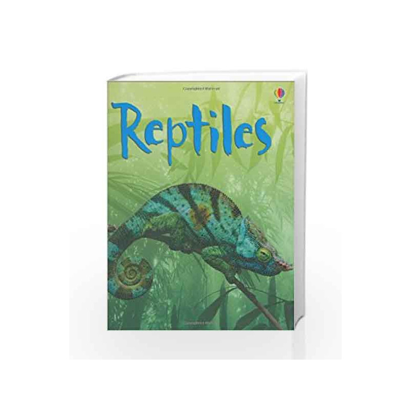 Reptiles (Beginners Series) by Catriona Clarke Book-9780746099636