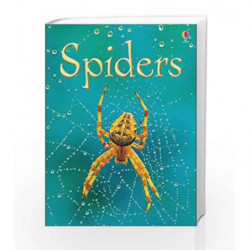Spiders (Beginners Series) by Rebecca Gilpin Book-9780746074794