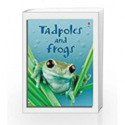 Tadpoles and Frogs (Usborne Beginners) by Anna Milbourne Book-9780746074558