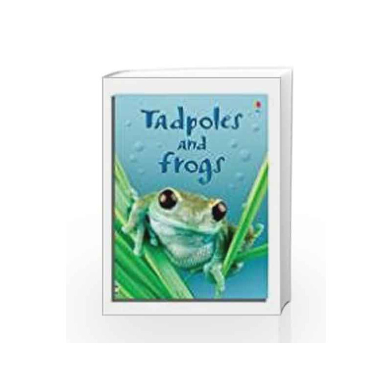 Tadpoles and Frogs (Usborne Beginners) by Anna Milbourne Book-9780746074558