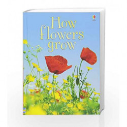 How Flowers Grow (Usborne Beginners) by Emma Helbrough Book-9780746074503
