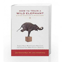 How to Train a Wild Elephant: And Other Adventures in Mindfulness by Jan Chozen Bays Book-9781590308172