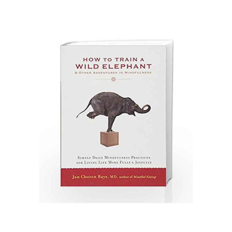 How to Train a Wild Elephant: And Other Adventures in Mindfulness by Jan Chozen Bays Book-9781590308172