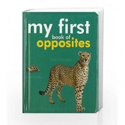 My First Book of Opposites by Om Books Book-9789380069784