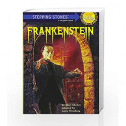 Frankenstein (A Stepping Stone Book(TM)) by Larry Weinberg Book-9780394848273