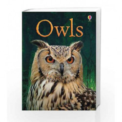BEG Owls (Beginners Series) by Emily Bone Book-9781409530664