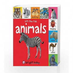 Bright Baby Lift-the-Tab: Animals by ROGER PRIDDY Book-9780312516222