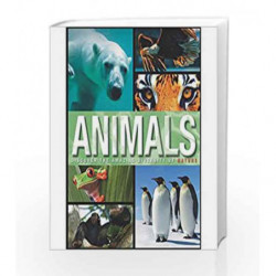 Amazing Fact Animals by Parragon Books Book-9781474847643