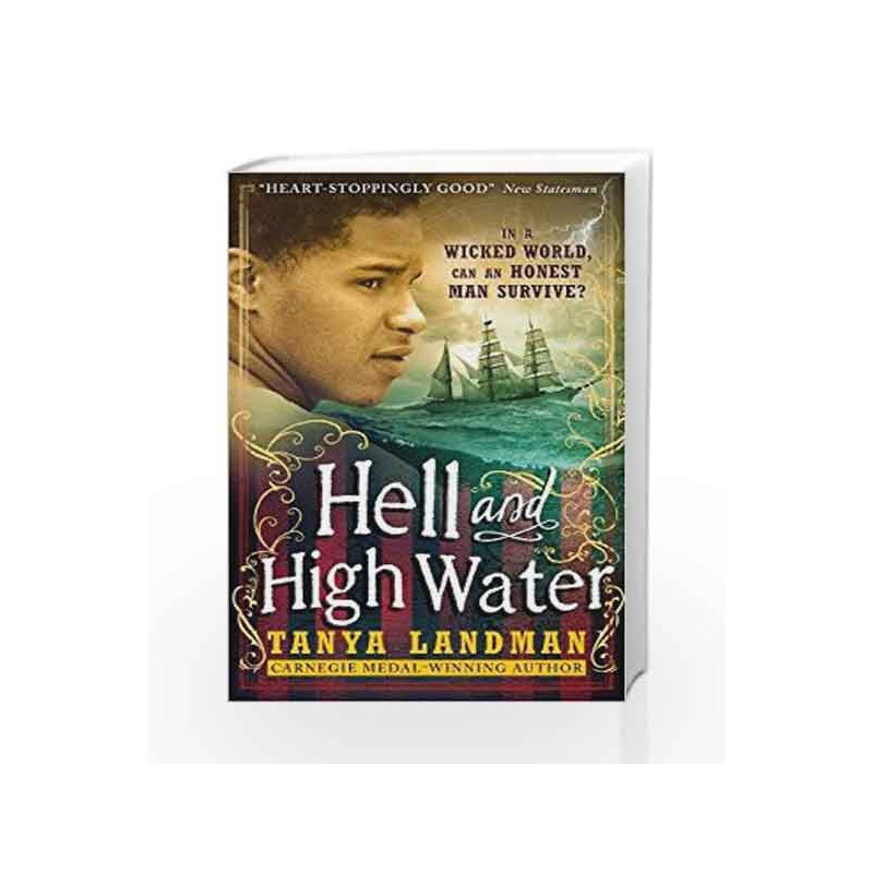 Hell and High Water by Tanya  Landman Book-9781406366914