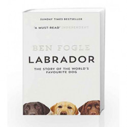 Labrador: The Story of the World                  s Favourite Dog by Ben Fogle Book-9780007549023