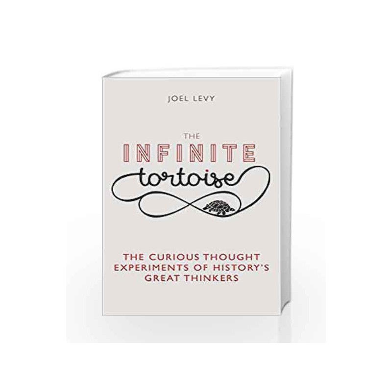 The Infinite Tortoise by Levy Joel Book-9781782437406
