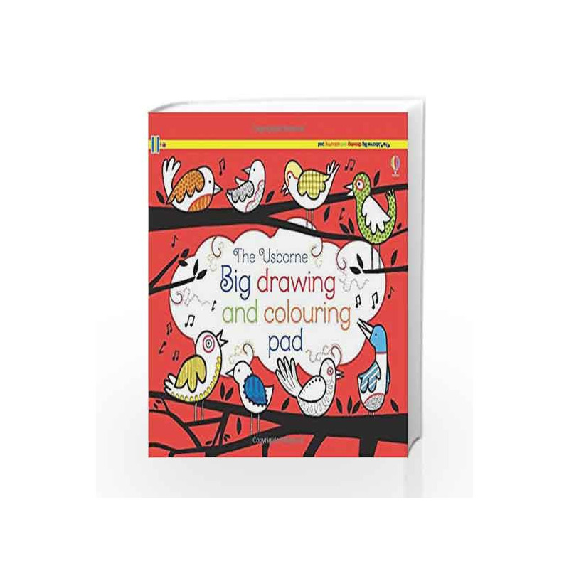 Big Drawing, Dooling and Colouring tear-off Pad (Tear-off Pads) by Jo Litchfield Book-9781409577423