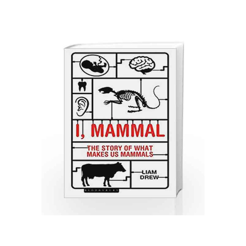 I, Mammal: The Story of What Makes Us Mammals by Liam Drew Book-9781472922908