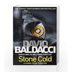 Stone Cold (The Camel Club) book -9781447274308 front cover