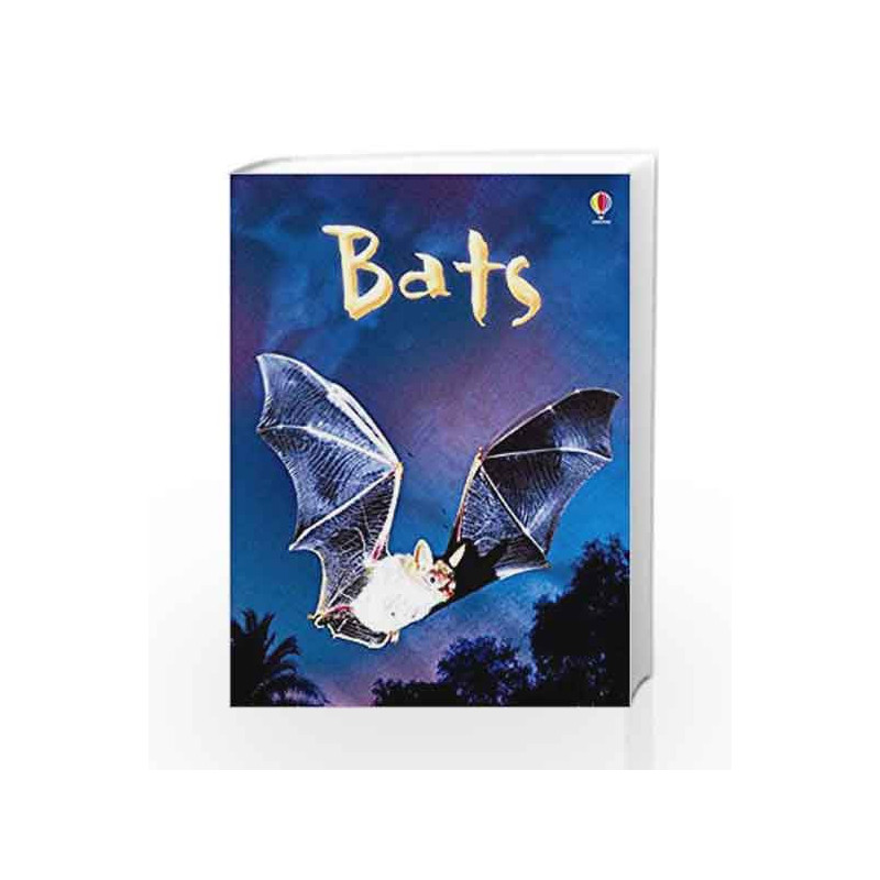 Bats (Usborne Beginners) book -9780746099650 front cover
