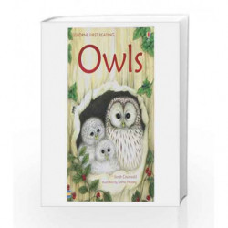 Owls - Level 4 (Usborne First Reading) book -9781409505792 front cover