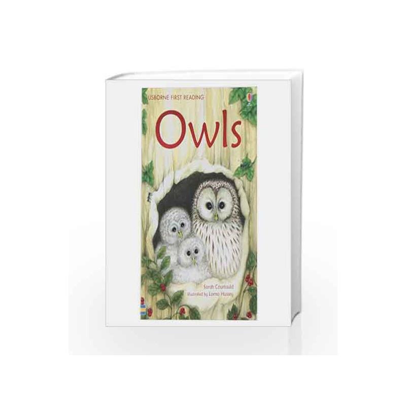 Owls - Level 4 (Usborne First Reading) book -9781409505792 front cover