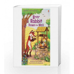 Brer Rabbit Down the Well - Level 2 (First Reading) book -9781409509790 front cover