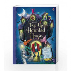 Pop-up Haunted House by Taplin Sam Book-9781409535027