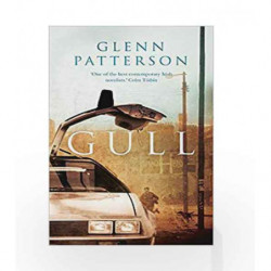 Gull by Glenn Patterson Book-9781784971762