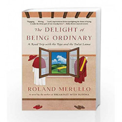 The Delight of Being Ordinary (Vintage Contemporaries) by Roland Merullo Book-9781101970799