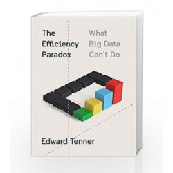 The Efficiency Paradox: What Big Data Can't Do by TENNER EDWARD Book-9781400041398