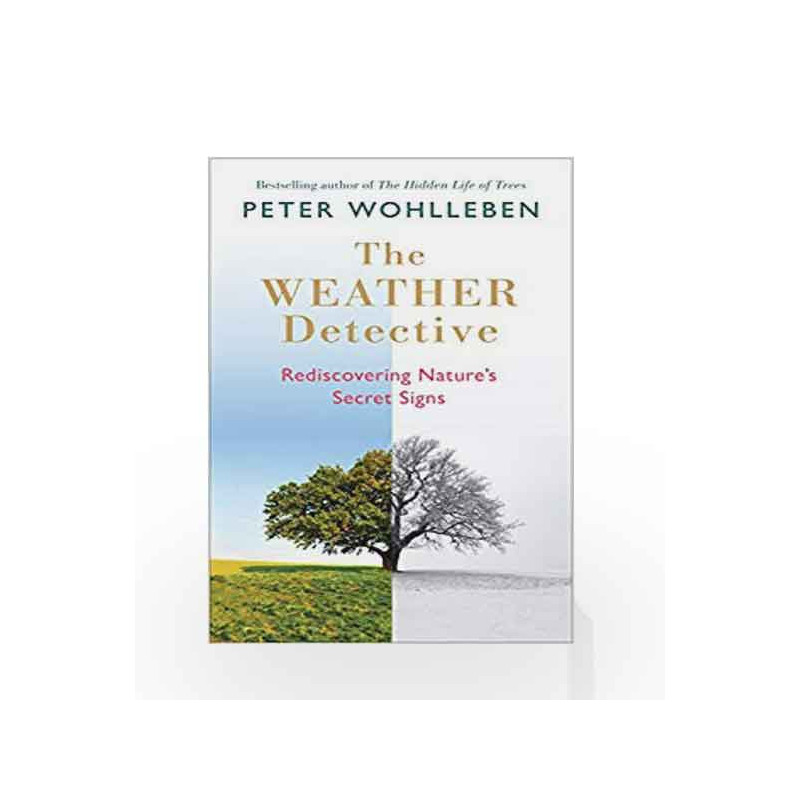 The Weather Detective: Rediscovering Natures Secret Signs by Wohlleben, Peter Book-9781846045783