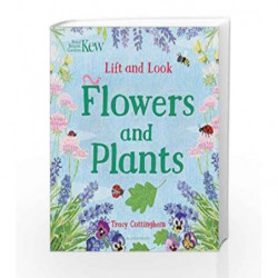 Kew: Lift and Look Flowers and Plants (Bloomsbury Activity Books) by Tracy Cottingham Book-9781408889824