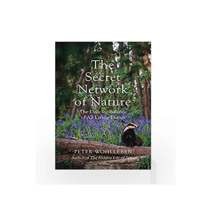 Secret Network of Nature, The by Peter Wohlleben Book-9781847925244