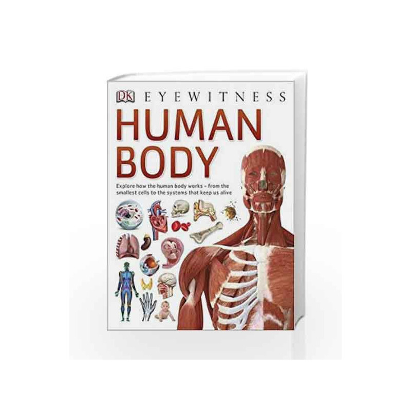Human Body (Eyewitness) by NA Book-9780241013618