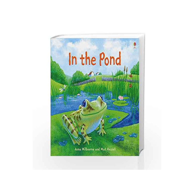 In the Pond (Picture Books) by Ann Milbourne Book-9781409566328