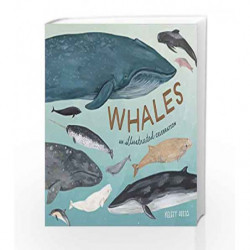 Whales by Kelsey Oseid Book-9780399581830