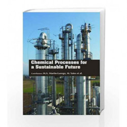 Chemical Processes for a Sustainable Future by Martin-Luengo M A Book-9781781548936