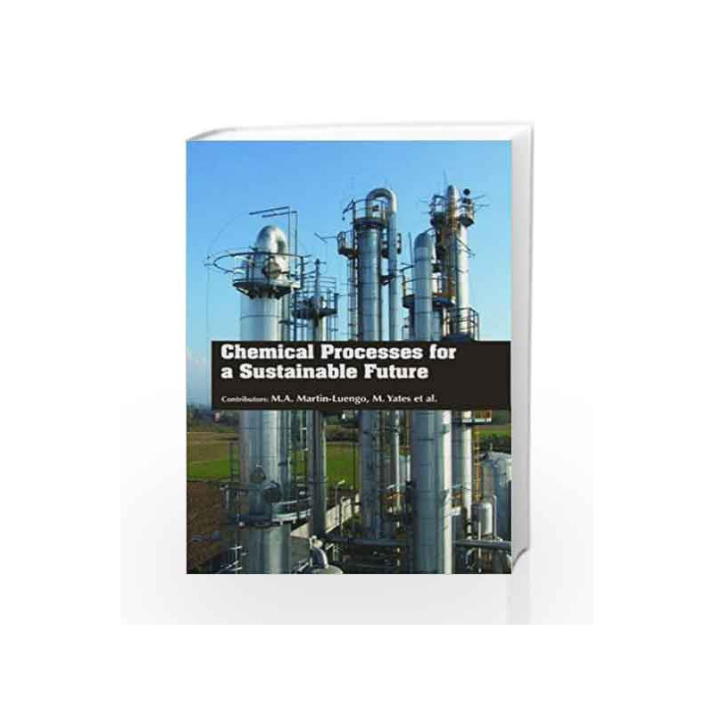 Chemical Processes for a Sustainable Future by Martin-Luengo M A Book-9781781548936
