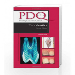 PDQ Endodontics (PDQ Series) by Ingle J.I. Book-9781607950363