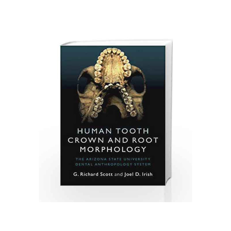 Human Tooth Crown and Root Morphology: The Arizona State University Dental Anthropology System by Scott G.R. Book-9781107480735