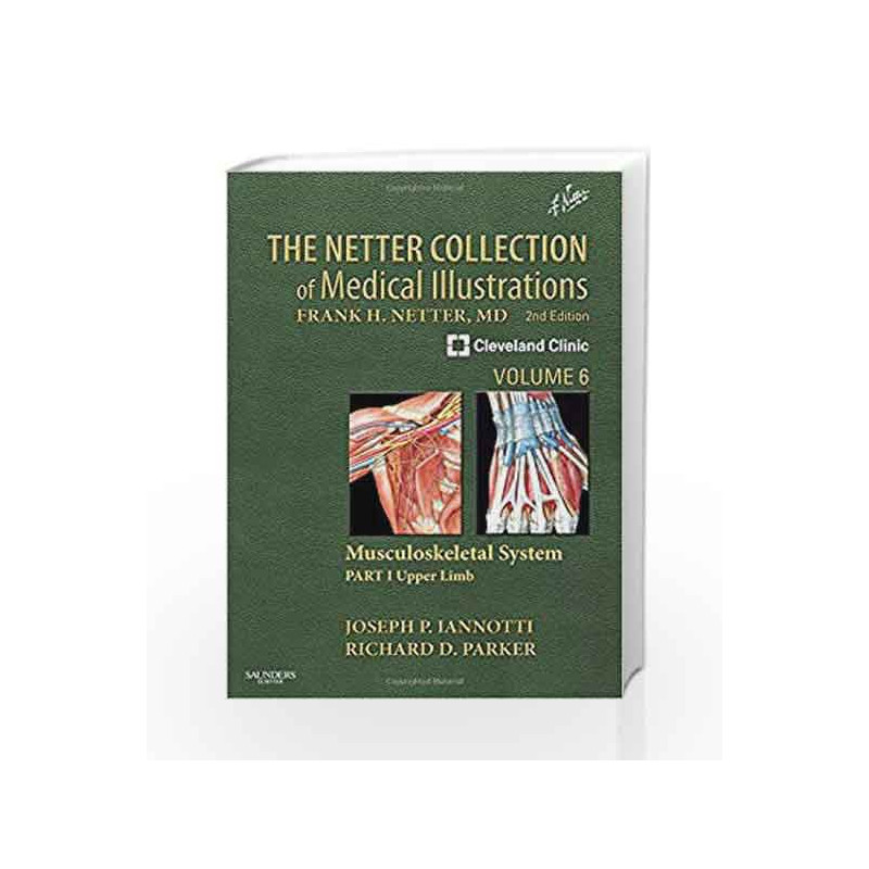 of　Book　Part　Green　The　Illustrations:　Medical　Collection　Upper　Medical　Musculoskeletal　of　Illustrations:　Vol.　Netter　The　Musculoskeletal　P.-Buy　by　J.　Lannotti　Collection)　Netter　(Netter　Limb　I　System,　Collection　Online
