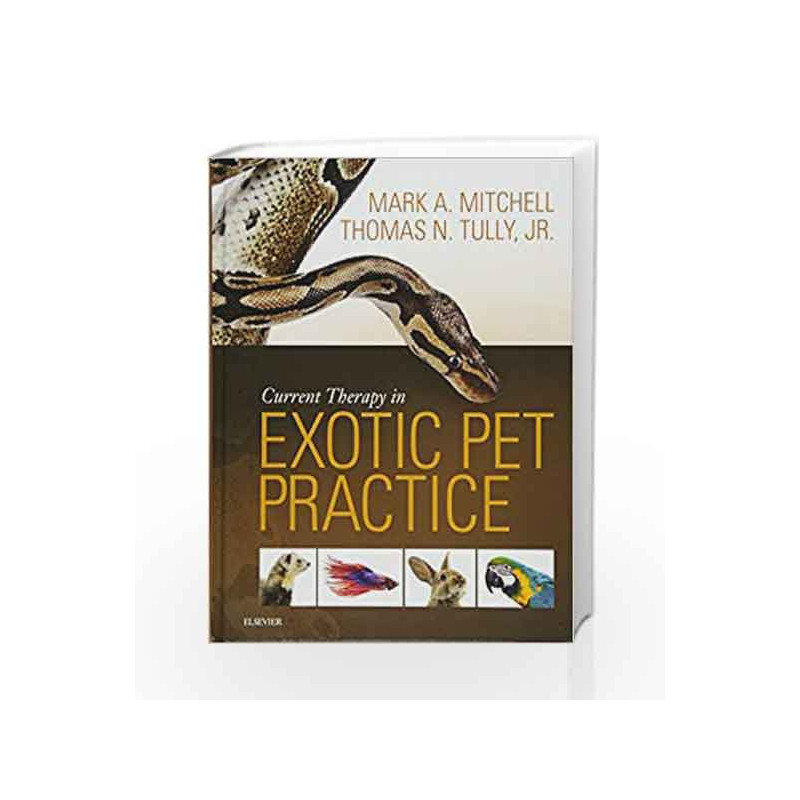 Current Therapy in Exotic Pet Practice by Mitchell M A Book-9781455740840