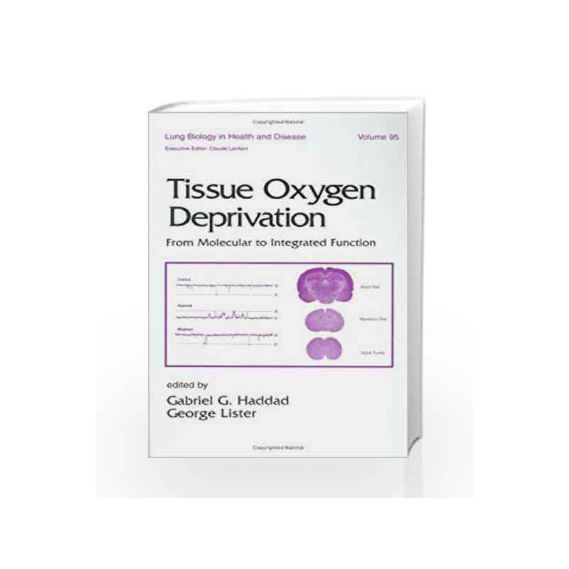 Tissue Oxygen Deprivation: From Molecular to Integrated Function: 95 (Lung Biology in Health and Disease) by Majumdar A Book-978