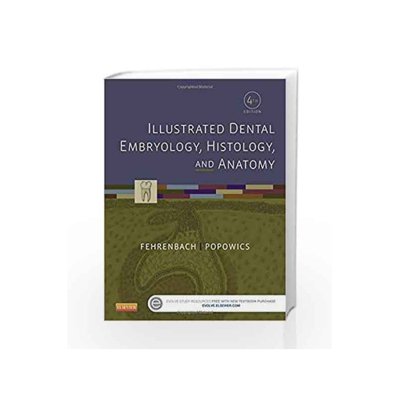 Illustrated Dental Embryology, Histology and Anatomy by Dfehrenabech M J Book-9781455776856