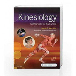 Kinesiology: The Skeletal System and Muscle Function, 3e by Muscolino J E Book-9780323396202