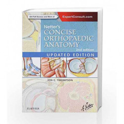 Netter's Concise Orthopaedic Anatomy, Updated Edition (Netter Basic Science) by Thompson J.C. Book-9780323429702
