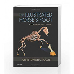 The Illustrated Horse's Foot: A comprehensive guide (Sandoz Lectures in Gerontology) by Pollitt C C Book-9780702046551
