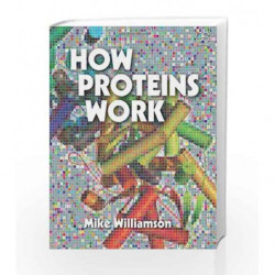 How Proteins Work by Williamson M. Book-9780815344469