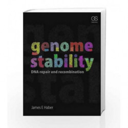 Genome Stability: DNA Repair and Recombination by Haber Book-9780815344858